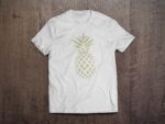 Pineapple Mockup 2